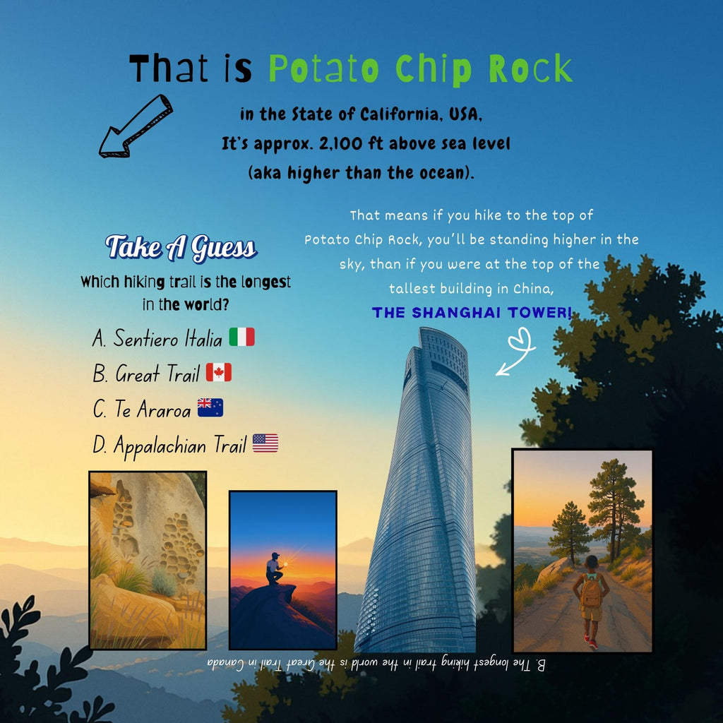 The Letters Of The Alphabet Describes me